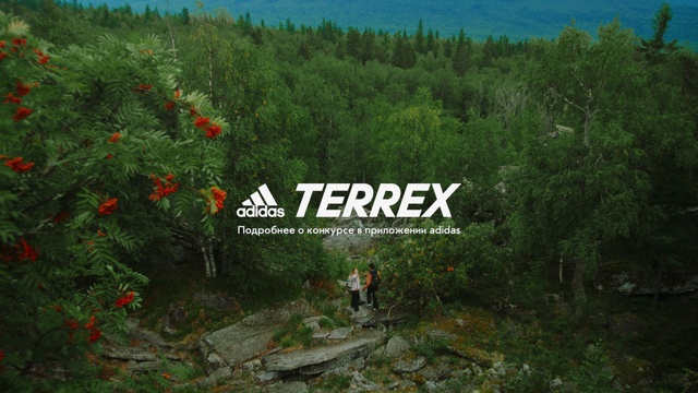 Video Reference: Plant, Plant community, Natural landscape, Terrestrial plant, Tree, Grass, Biome, Landscape, Font, Shrub