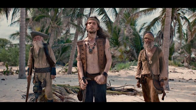 Video Reference: beach, palm trees, pirates, men, costume, tropical, outdoors, adventure, standing, sand, historical, beard, travel, cinematic, group
