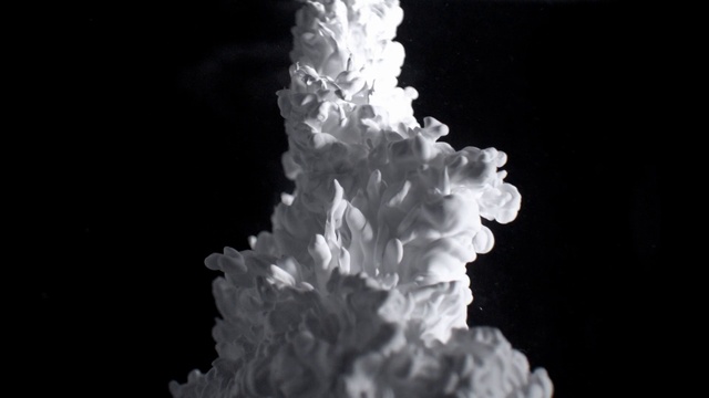 Video Reference: Flower, Petal, Sky, Terrestrial plant, Plant, Flowering plant, Natural landscape, Monochrome photography, Macro photography, Fungus