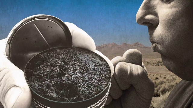 Video Reference: Sky, Gesture, Automotive tire, Happy, Art, Personal protective equipment, Landscape, Compost, Soil, Circle