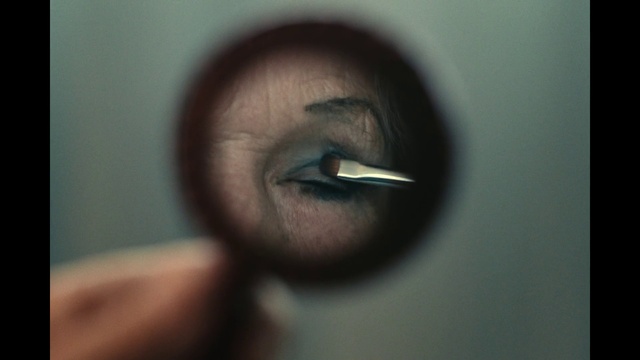 Video Reference: Eyelash, Tints and shades, Flash photography, Wood, Macro photography, Darkness, Circle, Shadow, Flesh, Facial hair