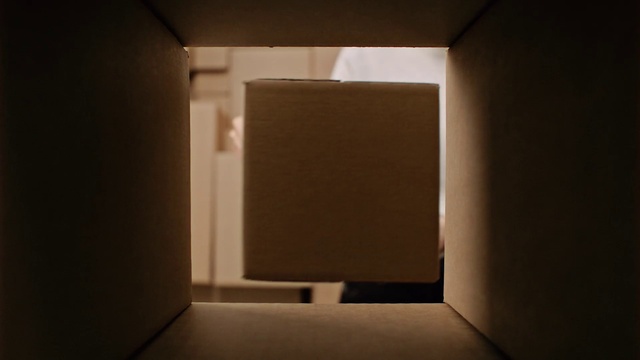 Video Reference: Wood, Tints and shades, Fixture, Rectangle, Flooring, Art, Space, Ceiling, Plaster, Darkness