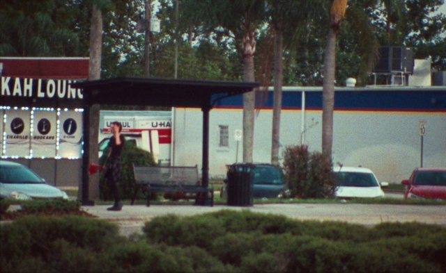 Video Reference: Car, Plant, Vehicle, Motor vehicle, Automotive lighting, Tree, Mode of transport, Automotive exterior, Real estate, Gas