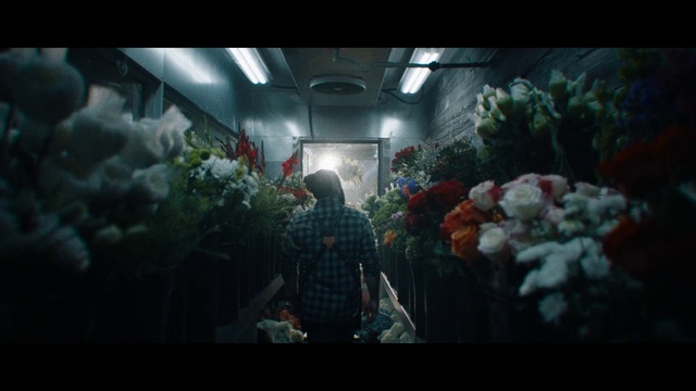 Video Reference: Plant, Flower, Organism, Petal, Art, Event, Flower Arranging, Magenta, Visual arts, Floral design