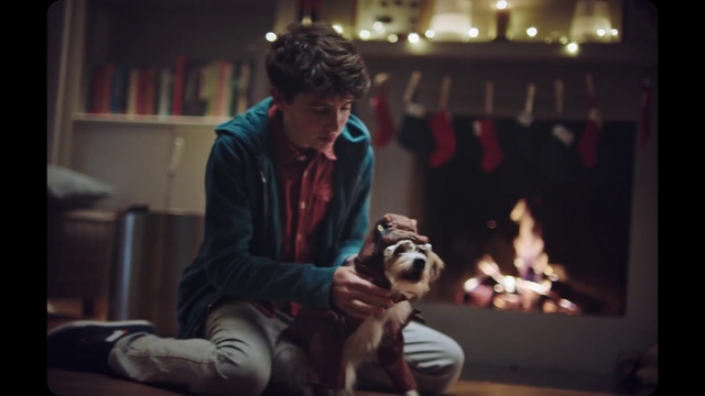 Video Reference: Flash photography, Bookcase, Fawn, Carnivore, Entertainment, Companion dog, Gas, Event, Dog breed, Fun