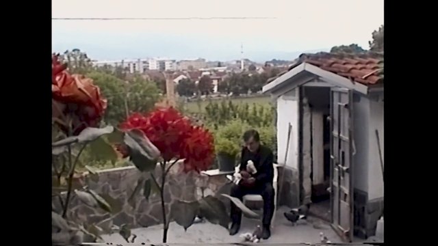 Video Reference: rooftop, terrace, person, dog, shed, outdoor, cityscape, trees, residential, garden, daylight, vintage, balcony