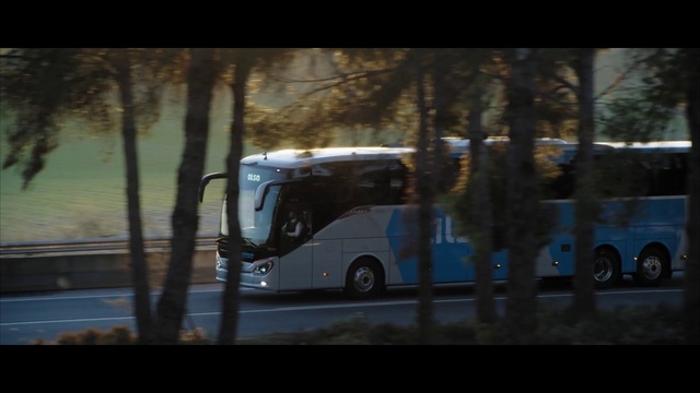 Video Reference: Wheel, Bus, Tire, Vehicle, Motor vehicle, Automotive design, Tour bus service, Tree, Automotive mirror, Automotive lighting