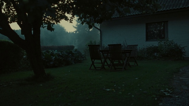 Video Reference: Plant, Atmosphere, Furniture, Tree, Window, Table, Chair, Grass, Landscape, Shade