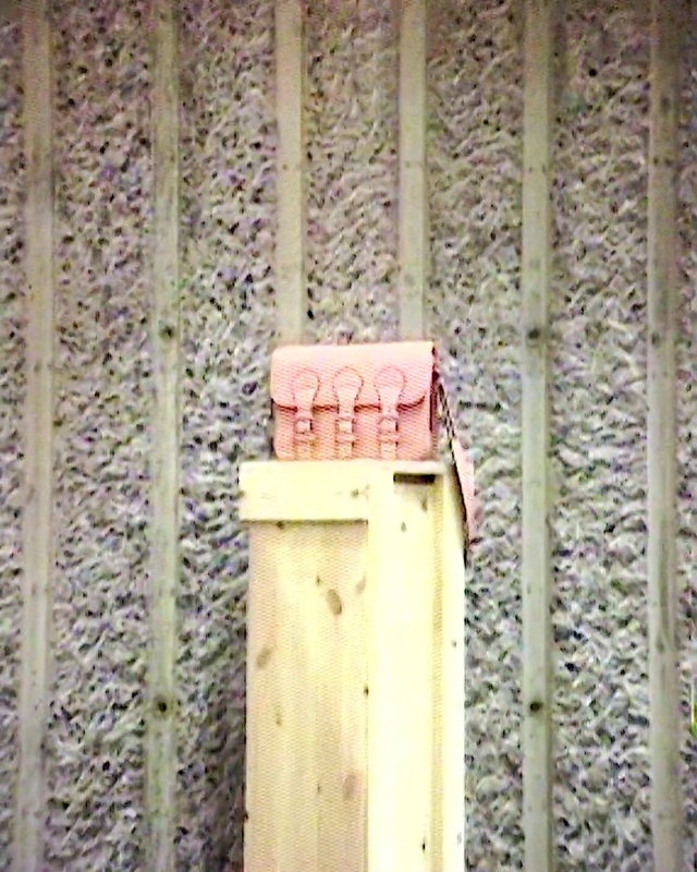 Video Reference: Wood, Rectangle, Wall, Tints and shades, Brick, Door, Grass, Lock, Brickwork, Pattern