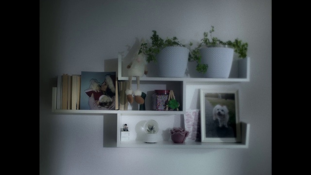 Video Reference: Plant, Shelving, Shelf, Houseplant, Flowerpot, Wood, Wall, Material property, Rectangle, Art