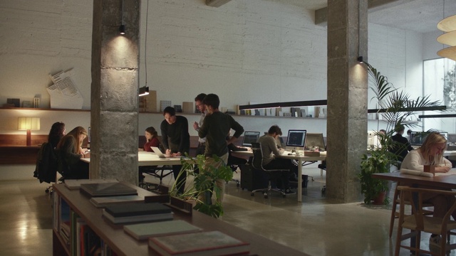 Video Reference: Plant, Houseplant, Table, Event, Flowerpot, Building, Ceiling, Mixed-use, Room, Chair