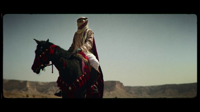 Video Reference: Horse, Sky, Working animal, Horse tack, Bridle, Hat, Rein, Landscape, Saddle, Horse supplies