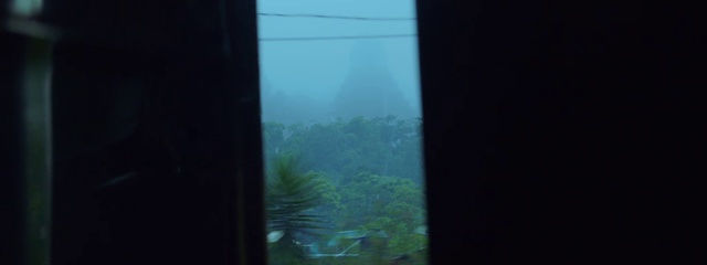 Video Reference: Plant, Water, Terrestrial plant, Tints and shades, Sky, Wood, Electric blue, Glass, Landscape, Grass
