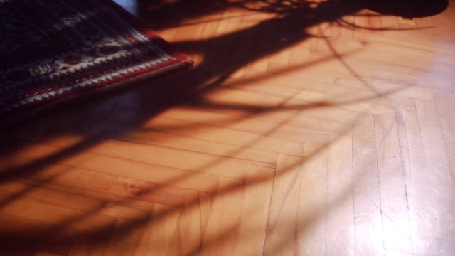 Video Reference: Brown, Wood, Orange, Flooring, Floor, Wood stain, Cloud, Hardwood, Material property, Tints and shades