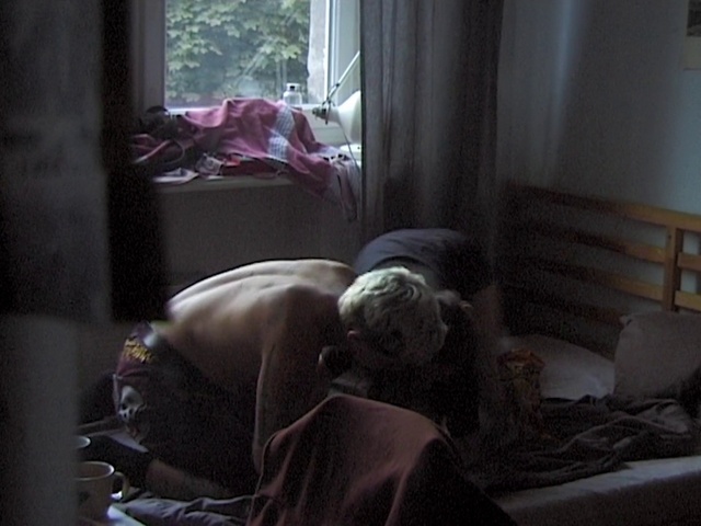 Video Reference: Window, Comfort, Textile, Interior design, Flooring, Wood, Curtain, Tints and shades, Hardwood, Window treatment