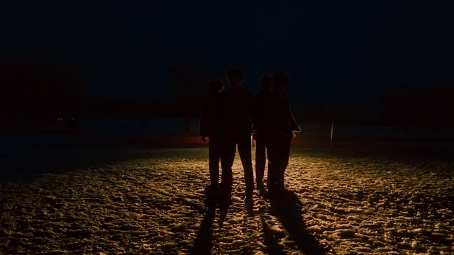 Video Reference: People in nature, Flash photography, Gesture, People on beach, Tree, Happy, Dusk, Holding hands, Tints and shades, Landscape