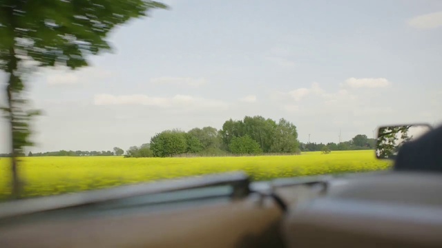 Video Reference: Sky, Cloud, Plant, Natural landscape, Road surface, Asphalt, Land lot, Tree, Grass, Grassland