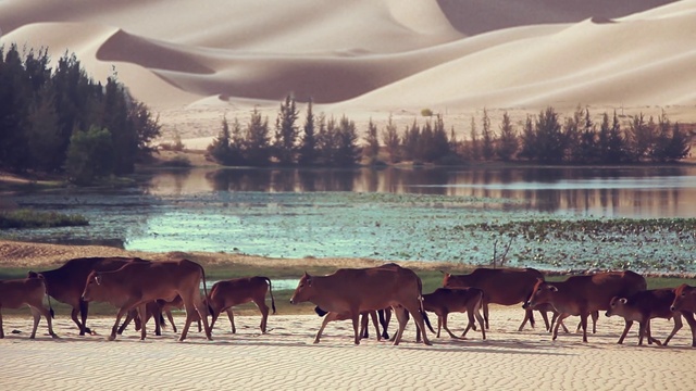 Video Reference: Water, Water resources, Ecoregion, Mountain, Light, Natural landscape, Nature, Sky, Natural environment, Body of water