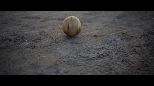 Video Reference: Sports equipment, Wood, Ball, Walnut, Flooring, Grass, Vegetable, Asphalt, Natural material, Road surface