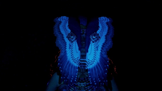 Video Reference: Purple, Electric blue, Wing, Art, Pattern, Symmetry, Font, Magenta, Design, Fictional character