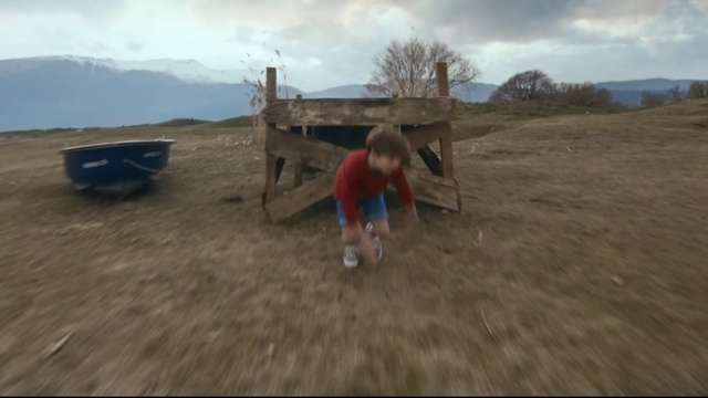 Video Reference: Cloud, Sky, Wood, Tree, Grass, Fawn, Grassland, Landscape, Plain, Fun