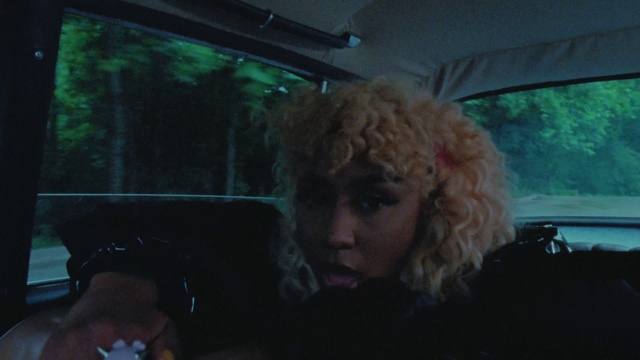 Video Reference: Car, Motor vehicle, Vehicle, Automotive mirror, Vehicle door, Automotive lighting, Automotive exterior, Rear-view mirror, Tree, Tints and shades