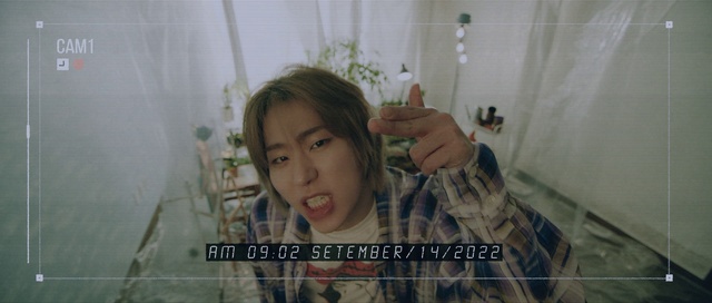 Video Reference: Facial expression, Gesture, Plant, Happy, Eyelash, Fun, Thumb, Font, Pattern, Room