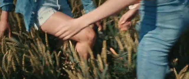 Video Reference: Plant, People in nature, Gesture, Grass, Finger, Thumb, Nail, Terrestrial plant, Human leg, Foot