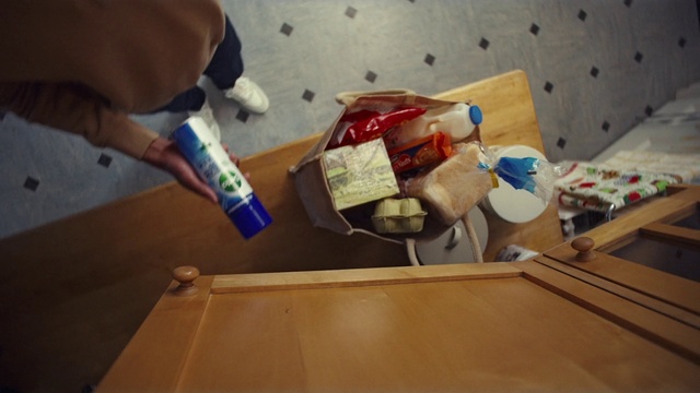 Video Reference: Dog, Wood, Carnivore, Flooring, Floor, Wood stain, Hardwood, Companion dog, Varnish, Plywood