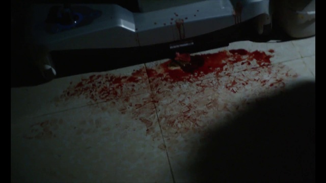 Video Reference: Textile, Tints and shades, Carmine, Linens, Creative arts, Natural material, Wood, Paint, Stain, Flooring