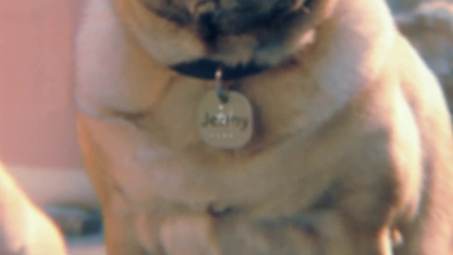 Video Reference: Hand, Liquid, Drinkware, Jaw, Fluid, Gesture, Barware, Eyelash, Stemware, Drinking water