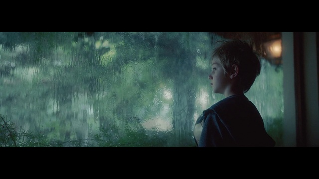 Video Reference: Cloud, Flash photography, People in nature, Tree, Sky, Black hair, Tints and shades, Electric blue, Midnight, Darkness