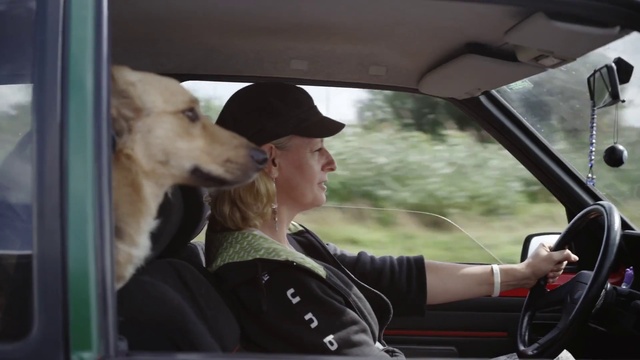 Video Reference: Dog, Vehicle, Motor vehicle, Automotive mirror, Car, Automotive design, Mammal, Mode of transport, Steering wheel, Vehicle door