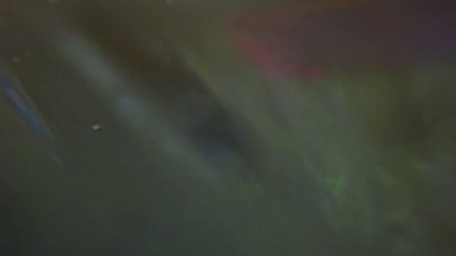 Video Reference: Brown, Water, Tints and shades, Sky, Event, Electric blue, Macro photography, Tree, Darkness, Peach