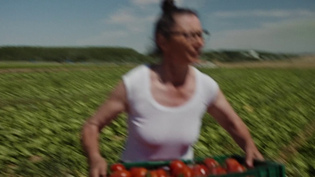 Video Reference: Sky, Musical instrument, People in nature, Idiophone, Plant, Fruit, Happy, Natural foods, Grass, Grassland