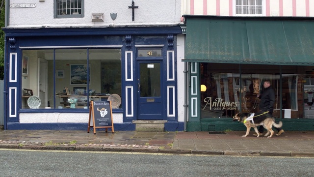 Video Reference: Window, Property, Dog, Building, Door, Neighbourhood, Carnivore, Facade, Gas, City