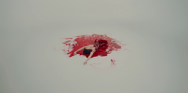 Video Reference: Hair, Arm, Eye, Liquid, Leg, Human body, Plant, Paint, Art, T-shirt