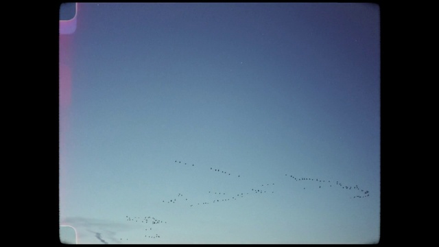 Video Reference: Sky, Atmosphere, Bird, Azure, Rectangle, Gadget, Tints and shades, Communication Device, Display device, Font