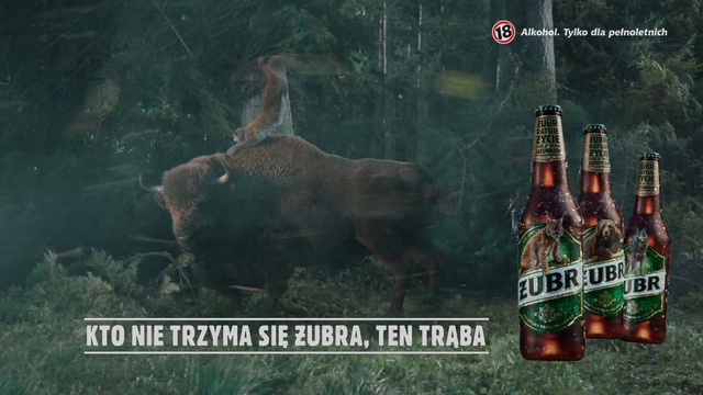 Video Reference: Bottle, Biome, Glass bottle, Plant, Window, Font, Beer bottle, Beer, Grass, Terrestrial animal