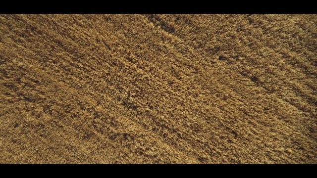 Video Reference: Brown, Textile, Rectangle, Wood, Road surface, Beige, Grey, Asphalt, Flooring, Font