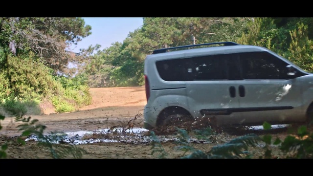 Video Reference: Tire, Land vehicle, Vehicle, Car, Wheel, Plant, Automotive tire, Window, Hood, Automotive lighting