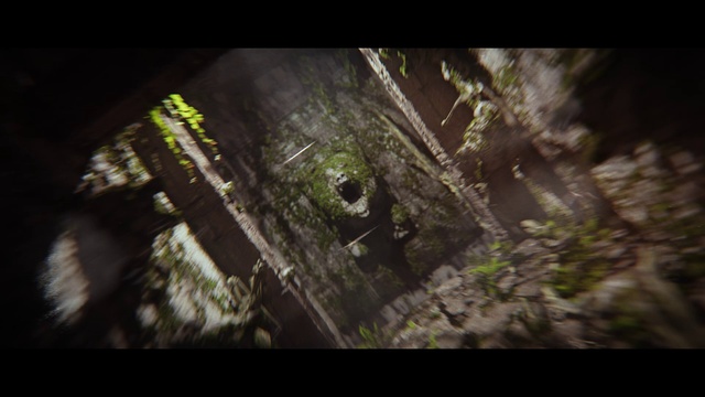 Video Reference: Wood, Terrestrial plant, Twig, Trunk, Grass, Tints and shades, Forest, Landscape, Darkness, Font