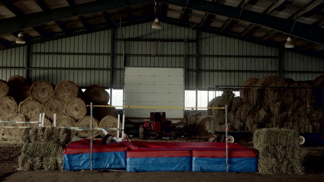 Video Reference: Wood, Mammal, Gas, Rural area, Shade, Beam, Metal, Event, Lumber, Building