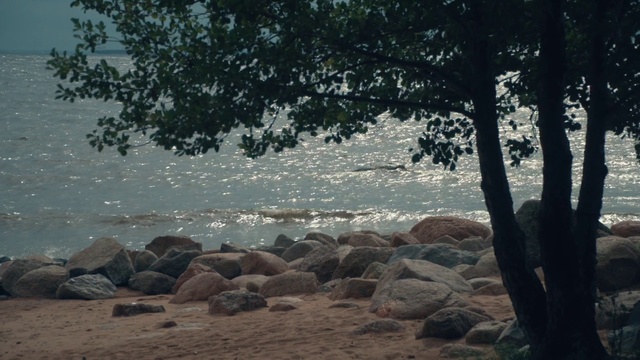 Video Reference: Water, Wood, Tree, Coastal and oceanic landforms, Watercourse, Bank, Natural landscape, Horizon, Landscape, Tints and shades