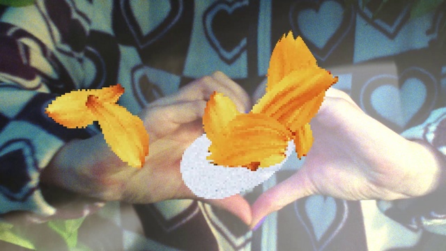 Video Reference: Orange, Finger, Petal, Ingredient, Food, Nail, Flowering plant, Natural material, Thumb, Wood