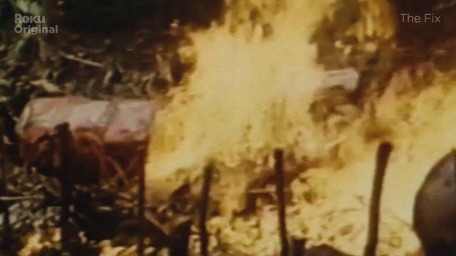 Video Reference: World, Landscape, Grass, Event, Heat, Font, Wood, Soil, Pollution, History