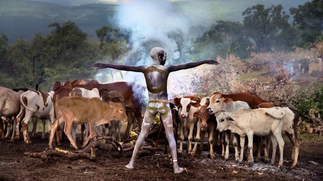 Video Reference: Nature, Natural environment, Working animal, Tree, Fawn, Landscape, Rural area, Grass, Grassland, Terrestrial animal