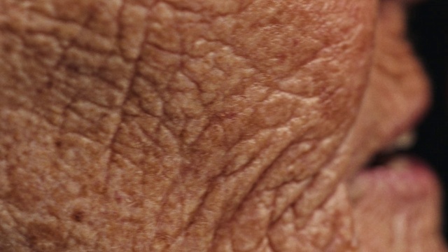 Video Reference: Gesture, Wood, Tints and shades, Peach, Wrinkle, Wool, Circle, Pattern, Plant, Fur