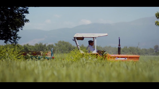 Video Reference: Sky, Plant, Cloud, People in nature, Vehicle, Natural landscape, Land lot, Travel, Landscape, Grassland