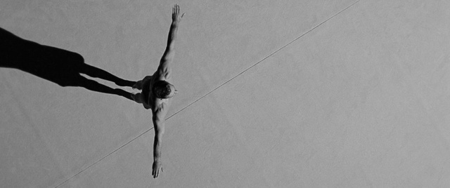 Video Reference: Plant, Dress, Tree, Athletic dance move, Twig, Wood, Knee, Elbow, Happy, Entertainment